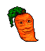 Hcarrot.gif (1562 bytes)