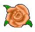 rose.gif (1900 bytes)