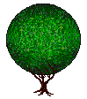 topiary4_14.gif (4323 bytes)