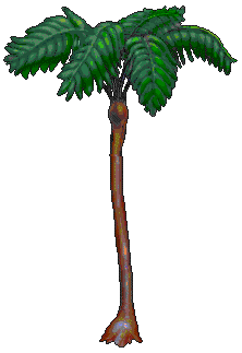 treefern_1.gif (8612 bytes)