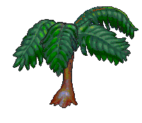 treefern_10.gif (6595 bytes)