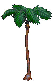 treefern_3.gif (8760 bytes)