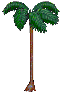 treefern_6.gif (8946 bytes)