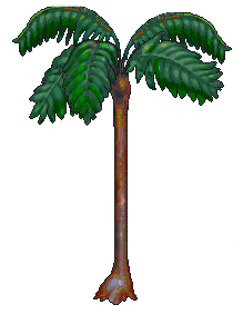 treefern_7.gif (8913 bytes)