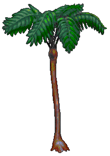 treefern_8.gif (8623 bytes)