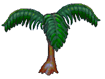 treefern_9.gif (5595 bytes)