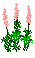 wildflowers3_11.gif (1332 bytes)