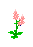 wildflowers6_15.gif (998 bytes)