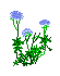 wildflowers7_0.gif (1433 bytes)