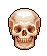 skull2.gif (1501 bytes)