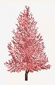 xmastree1_3.gif (5886 bytes)