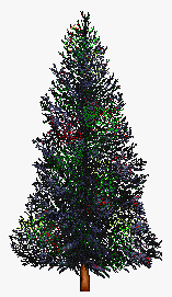 xmastree1_5.gif (9705 bytes)