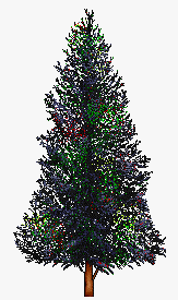 xmastree1_6.gif (9801 bytes)