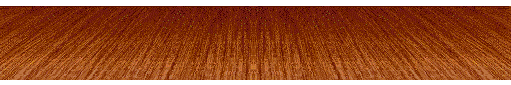 sflor01.gif (19039 bytes)