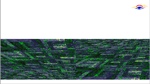 woodpatflr_1.gif (22987 bytes)